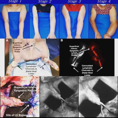 WhatsApp Image 2023-12-15 at 9.43.59 PM (4)